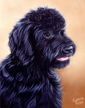 Raven, pet portrait by Susanna Pantas